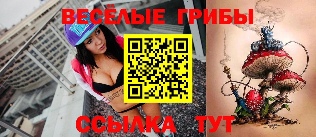 Галлюциногенные грибы прущие грибы Кимры