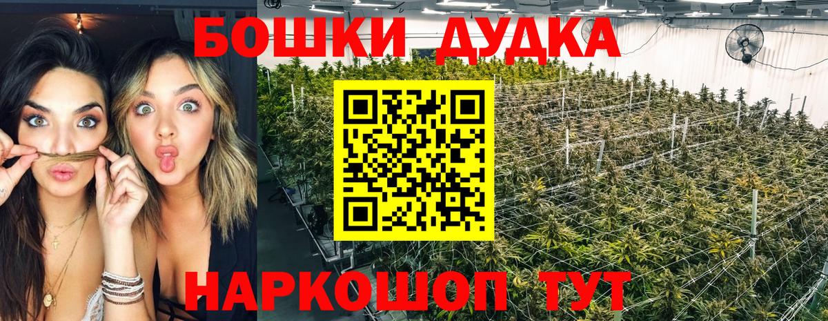 Марихуана ГИДРОПОН  Вход с VPN  МАРИХУАНА White Widow  Каннабис OG Kush  Кимры  Каннабис Ganja 